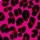 Raspberry Leopard